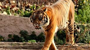 Barcelona National Zoo